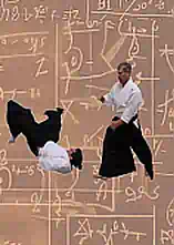 Aikido-Grundlagen – Techniken.Methoden.Hintergründe